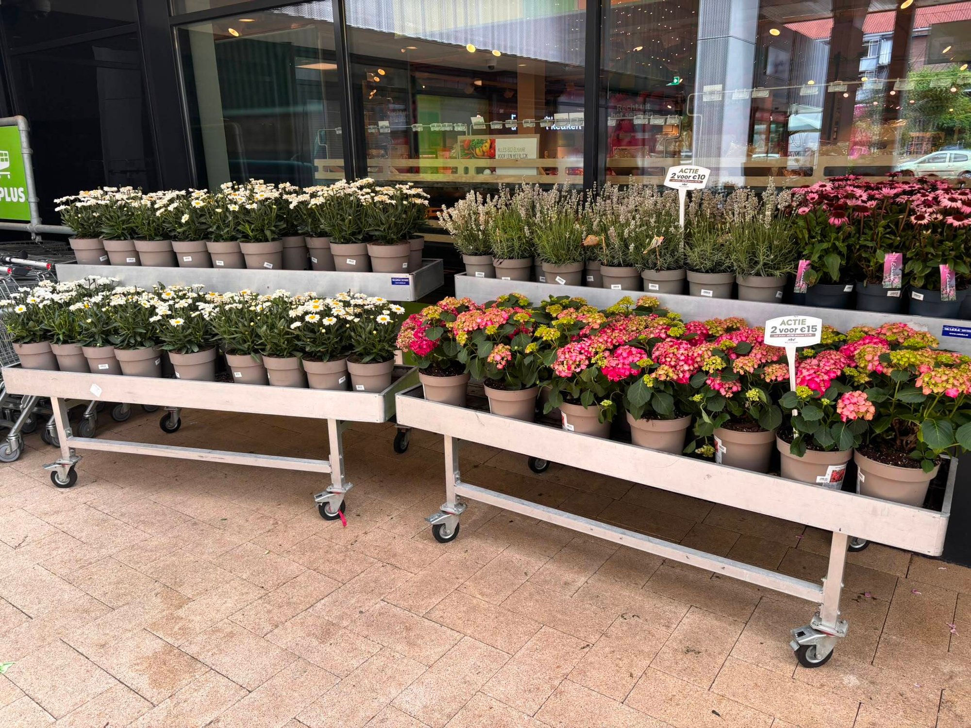 Bloemenafdeling